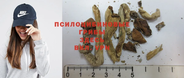 ALPHA PVP Новозыбков