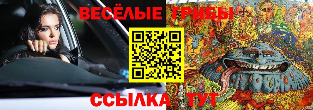 Ипатово  Псилоцибиновые грибы прущие грибы  Псилоцибиновые грибы Psilocybine cubensis  Вход с VPN 
